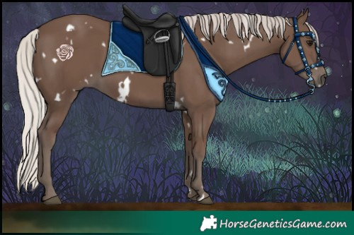 Horse Color:White Spotted Silver Black Rabicano 