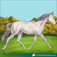 Horse Color:Smoky Creme Dun Tobiano 