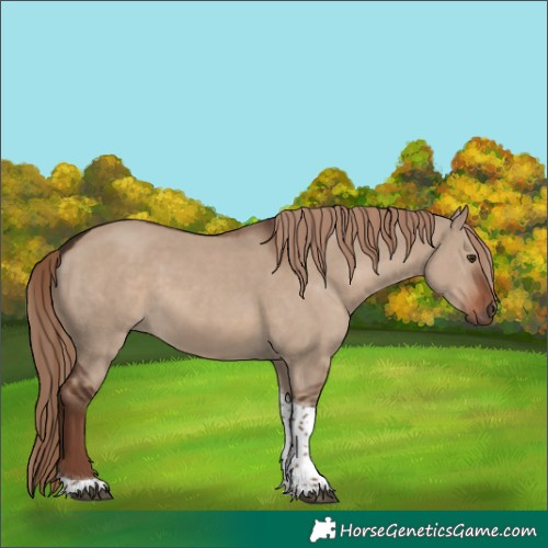 Horse Color:Liver Red Dun Tobiano Rabicano 