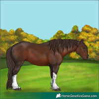 Horse Color:White Spotted Liver Chestnut Tobiano Rabicano