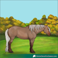 Horse Color:Silver Brown Dun