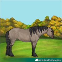 Horse Color:Brown Dun