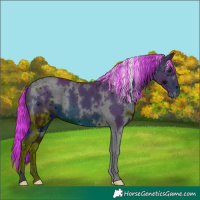 Horse Color:ERROR: UNKNOWN ANOMALY
