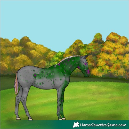 Horse Color:Unknown 