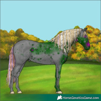 Horse Color:ERROR: UNKNOWN ANOMALY