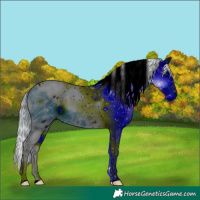 Horse Color:ERROR: UNKNOWN ANOMALY