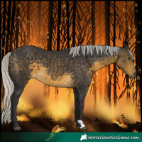 Horse Color:Silver Buckskin 