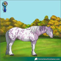 Horse Color:Watercolor Brown Pearl Sabino Tobiano Near Leopard