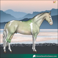 Horse Color:Watercolor Silver Brown Dun Splash Tobiano