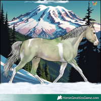 Horse Color:Watercolor Silver Brown Dun Splash Tobiano