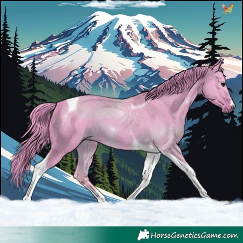 Horse Color:Watercolor Bay Dun Tobiano 