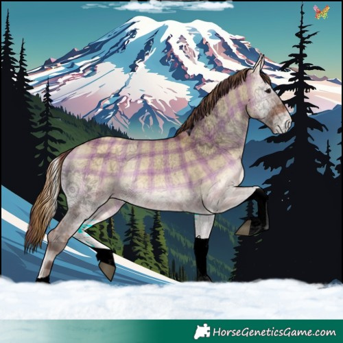 Horse Color:Void Plaid Bay Onyx Tobiano Varnish