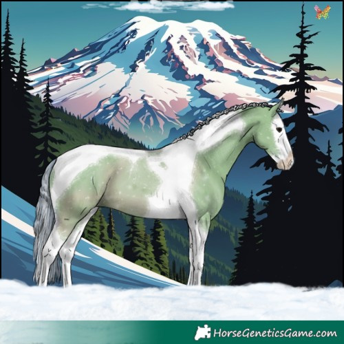 Horse Color:Watercolor Grullo Splash Tobiano