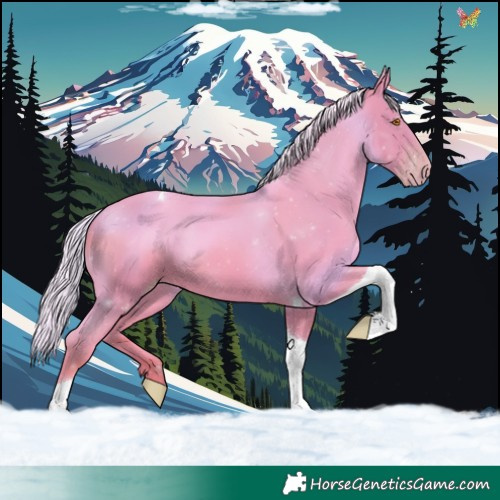Horse Color:Watercolor Silver Classic Champagne Tobiano