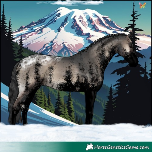 Horse Color:Void White Spotted Blue Onyx Ice