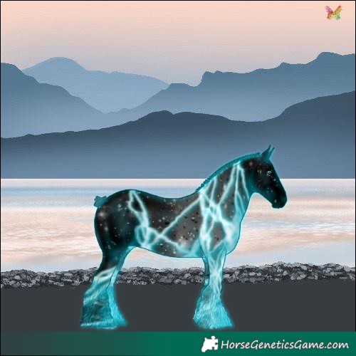 Horse Color:Void Thunderstruck White Spotted Liver Red Roan Splash