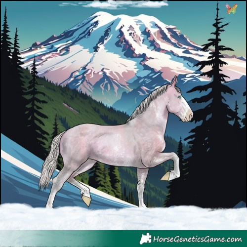 Horse Color:Watercolor Silver Buckskin Pearl Sabino 