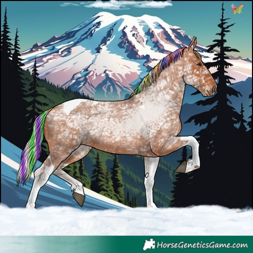 Horse Color:Painted Silver Bay Ice Roan Tobiano Rabicano 