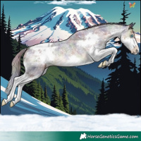 Horse Color:Nacre Silver Buckskin Roan Splash Blanket