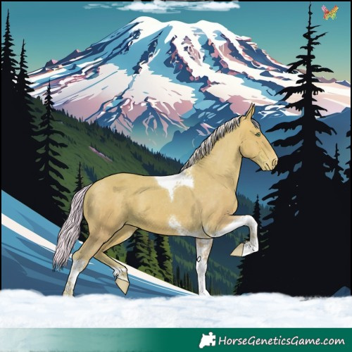 Horse Color:Watercolor Silver Sable Champagne Dun Tobiano Appaloosa 