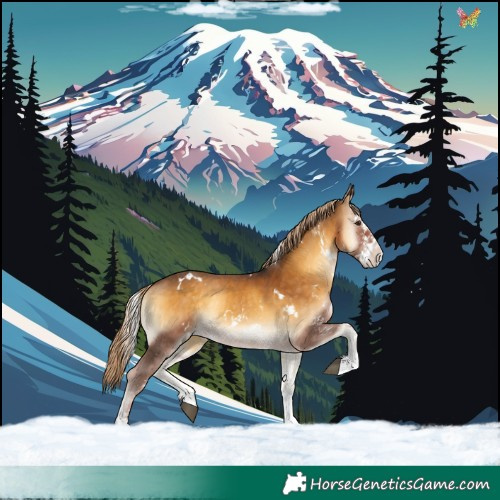 Horse Color:White Spotted Chocolate Palomino Onyx 
