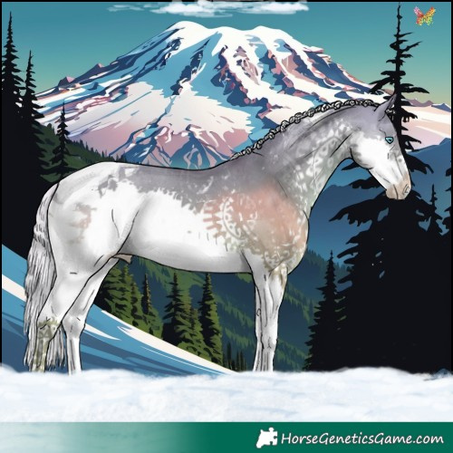 Horse Color:Silver Buckskin Dun Splash Tobiano 