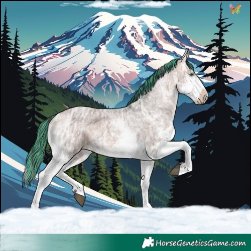 Horse Color:Painted Bay Ice Roan Splash 