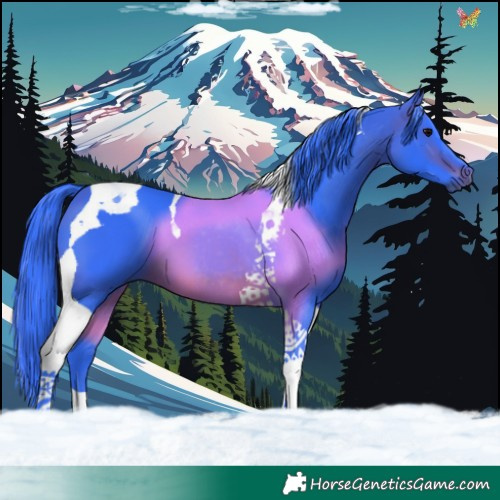 Horse Color:Watercolor Brown Tobiano 