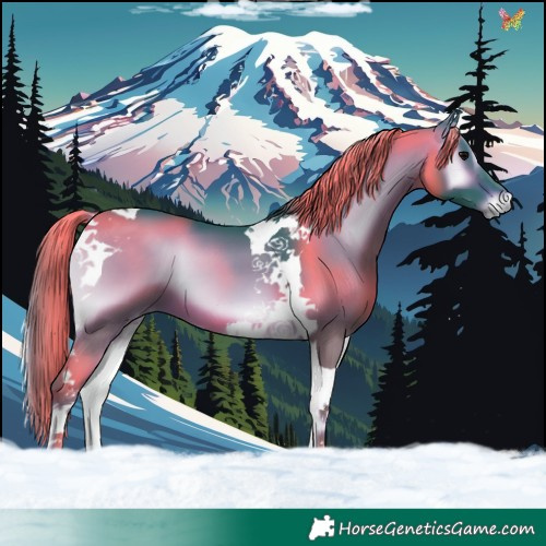 Horse Color:Watercolor Brown Onyx Tobiano 