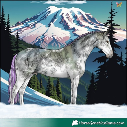 Horse Color:Painted Watercolor Palomino Ice Onyx Splash Tobiano 