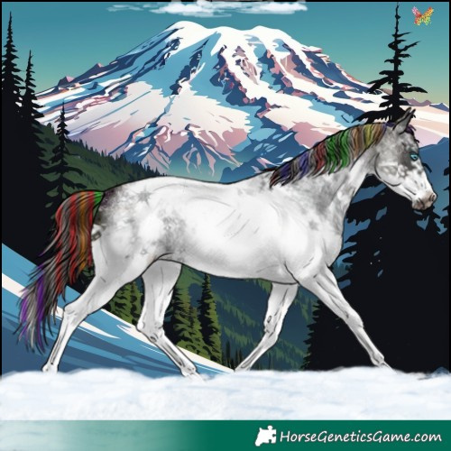 Horse Color:Painted Midnight Bay Ice Roan Splash Tobiano Frame 