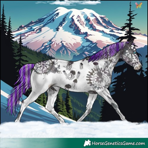 Horse Color:Painted Watercolor Midnight Liver Red Onyx Ice Splash Tobiano