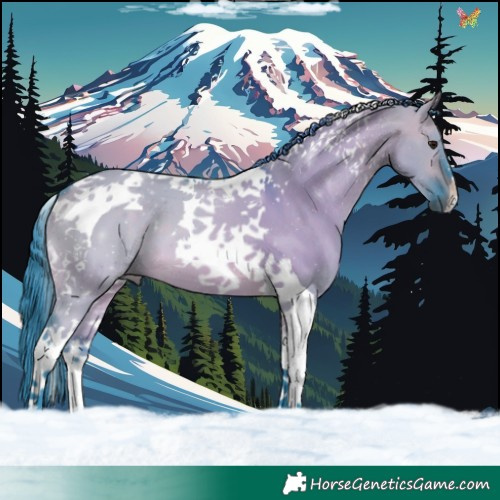 Horse Color:Watercolor Brown Dun Tobiano 