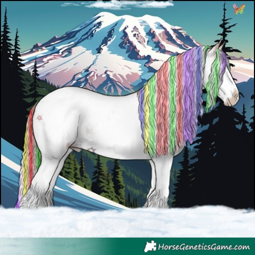 Horse Color:Painted Watercolor White Spotted Liver Chestnut Ice Splash Tobiano 