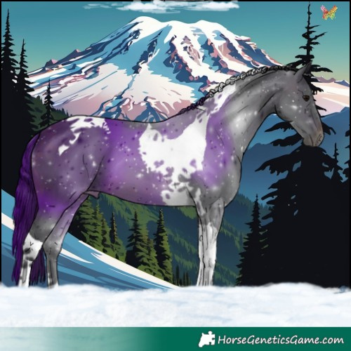 Horse Color:Brown Tobiano 