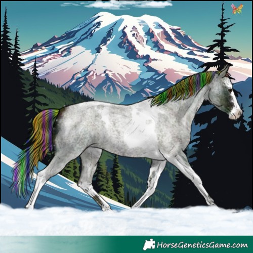 Horse Color:Painted Watercolor Midnight Bay Ice Roan Splash Tobiano 