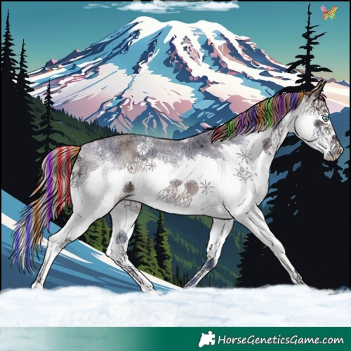 Horse Color:Painted Liver Red Ice Roan Splash