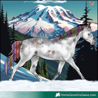 Horse Color:Painted Liver Red Ice Roan Splash 