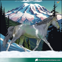 Horse Color:Watercolor Bay Tobiano 
