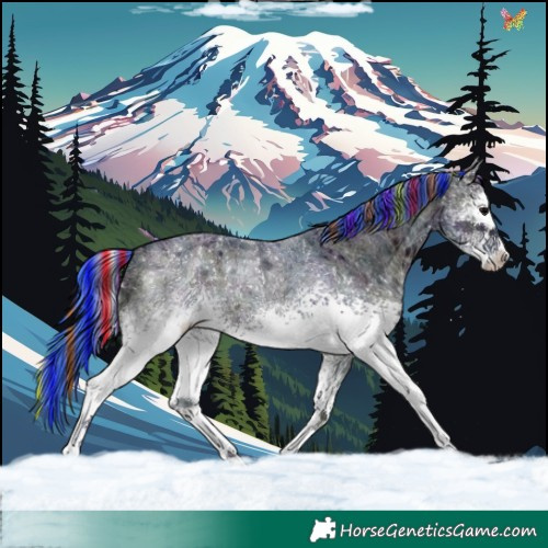 Horse Color:Painted Watercolor White Spotted Midnight Bay Ice Roan Onyx 