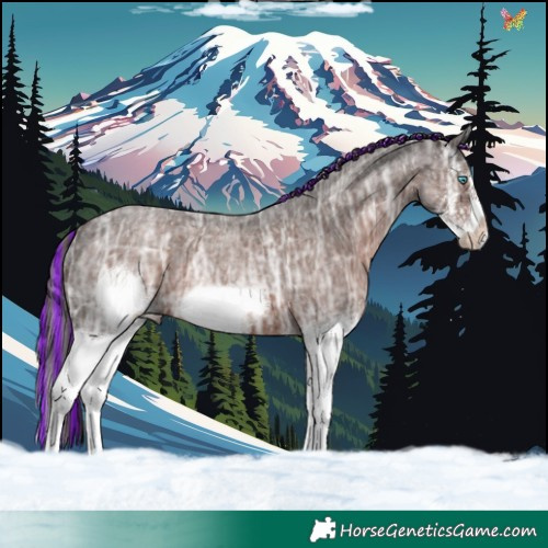 Horse Color:Painted Liver Red Ice Roan Splash Frame 
