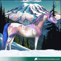 Horse Color:Watercolor Brown Onyx Tobiano
