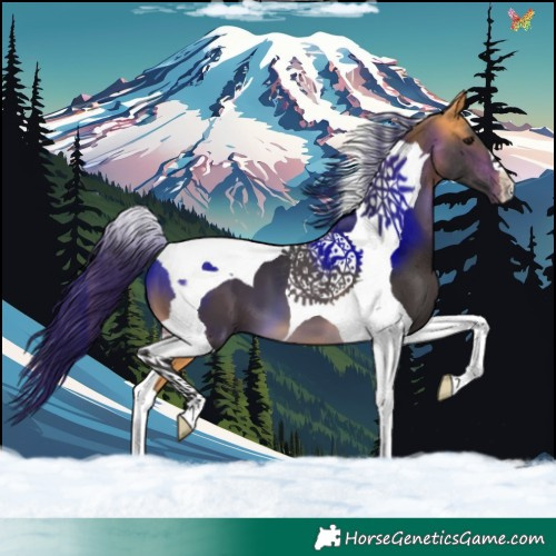 Horse Color:Buckskin Tobiano 