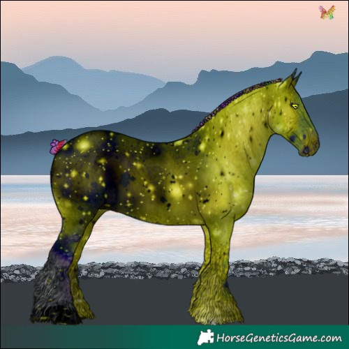 Horse Color:ERROR: UNKNOWN ANOMALY