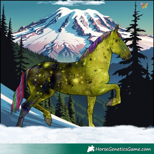 Horse Color:ERROR: UNKNOWN ANOMALY