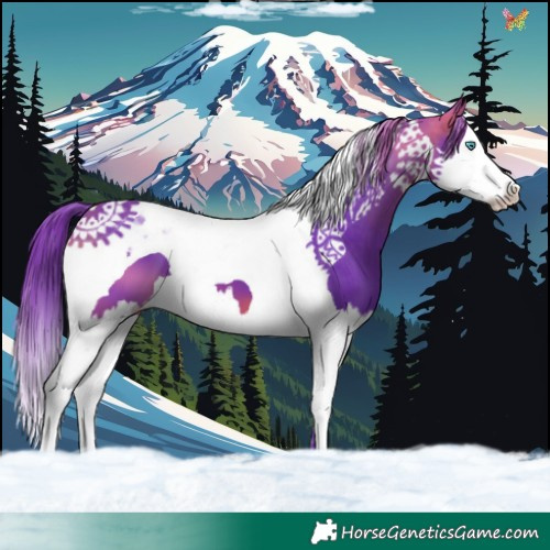 Horse Color:Watercolor Brown Splash Tobiano 