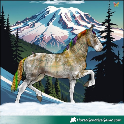 Horse Color:Painted Plaid  Bay Ice Onyx Splash Tobiano 