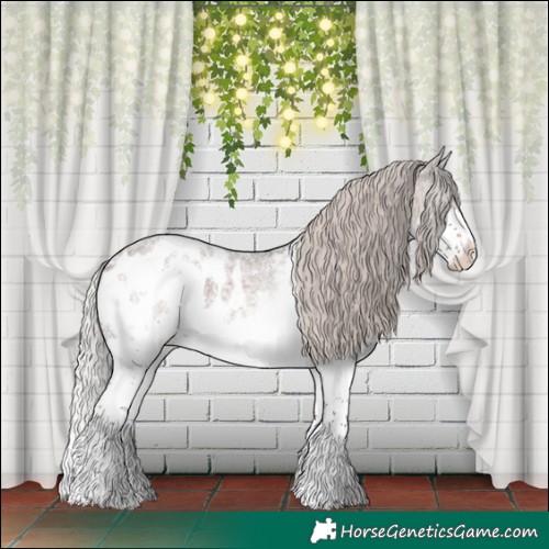 Horse Color:White Spotted Silver Brown Roan Splash Blanket 