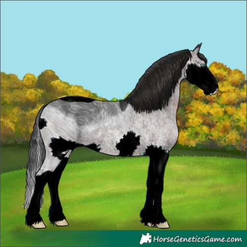 Horse Color:ERROR: UNKNOWN ANOMALY