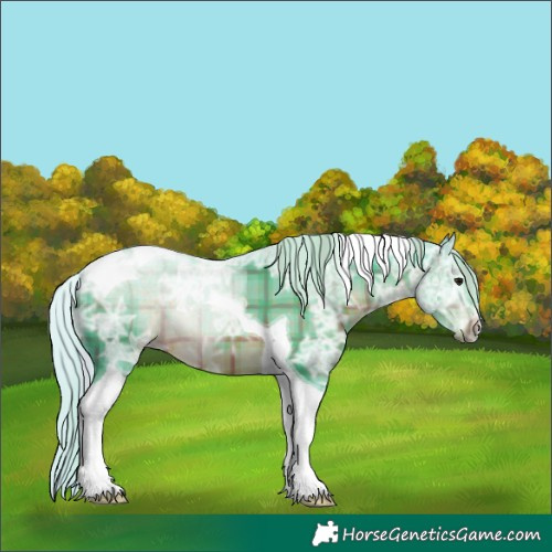 Horse Color:Watercolor Plaid  Silver Brown Ice Tobiano 